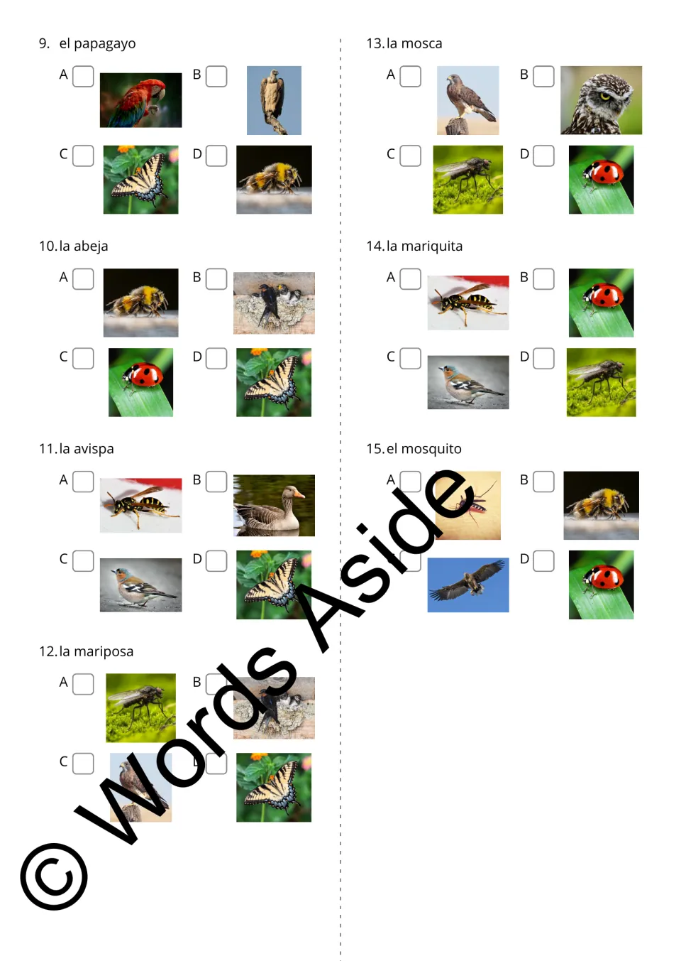 Spanish word-to-photo questions 9–15 include papagayo (parrot), abeja (bee), and mariquita (ladybug)