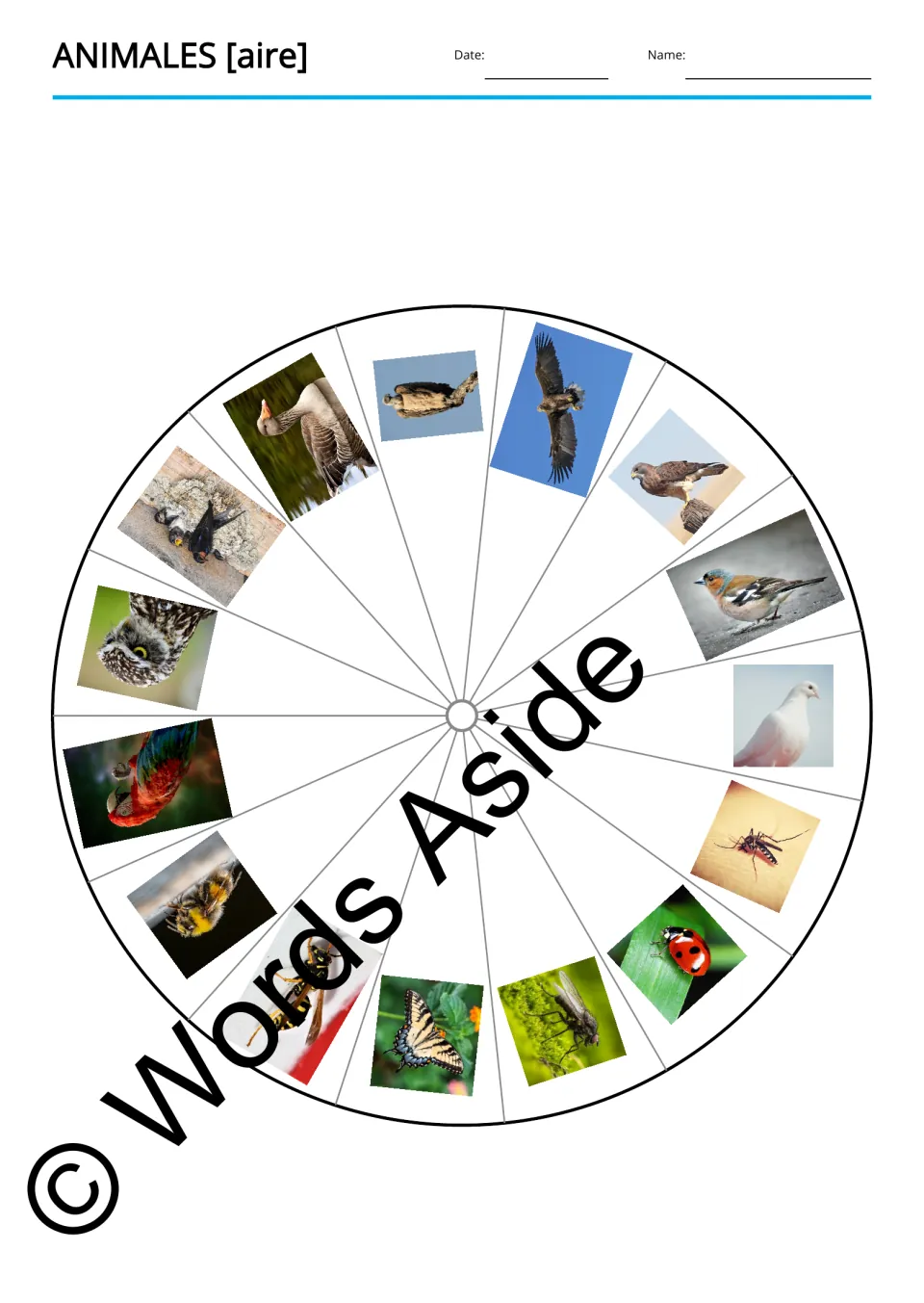 Spanish animal vocabulary picture wheel shows all 15 animals, including a goose, owl, parrot, and butterfly