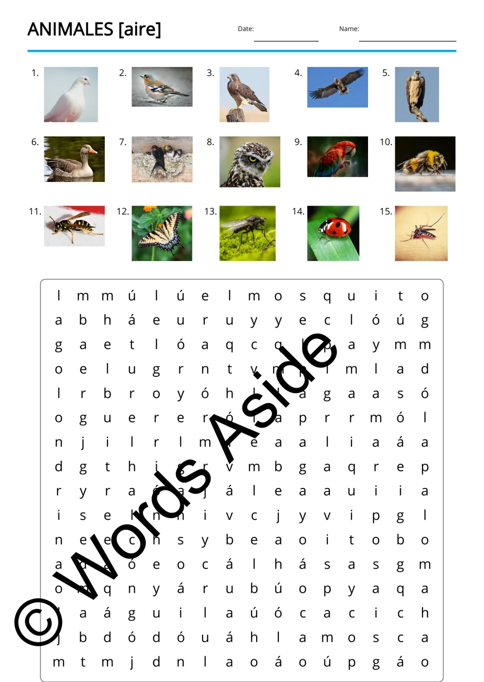 Spanish animal word search uses 15 numbered photo clues, including a dove, vulture, bee, and ladybug
