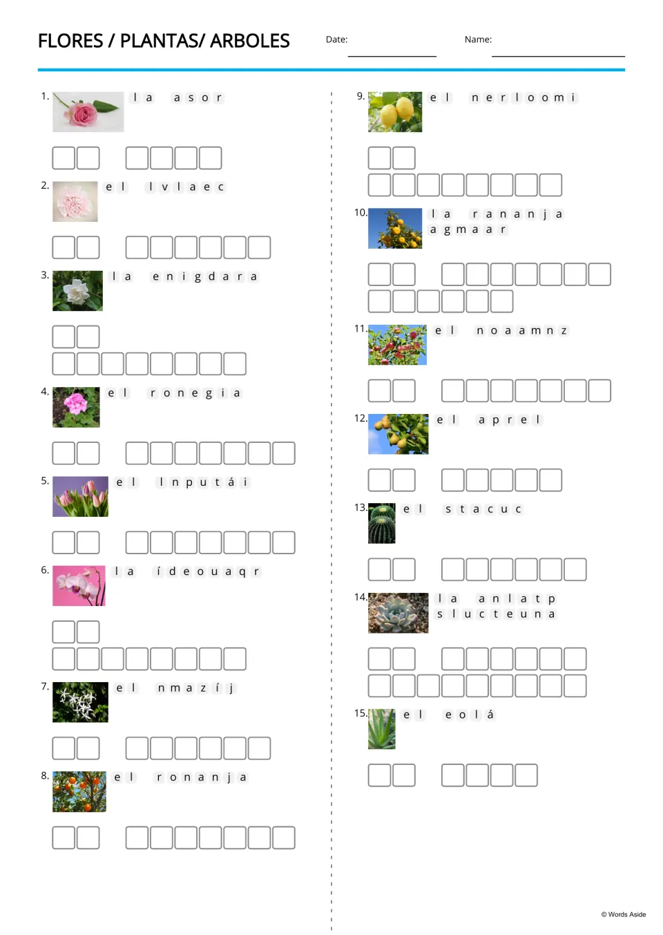 Picture-supported Spanish anagrams for 15 plant terms, including la rosa (rose) and el clavel (carnation)