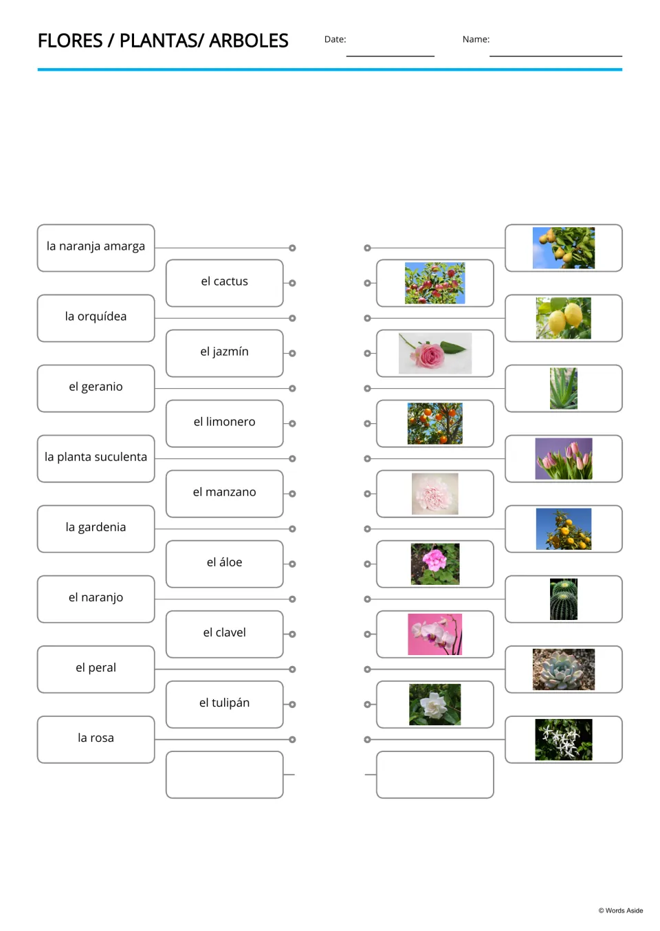 Spanish word-to-picture matching for 15 plant terms, including el cactus (cactus) and el peral (pear tree)
