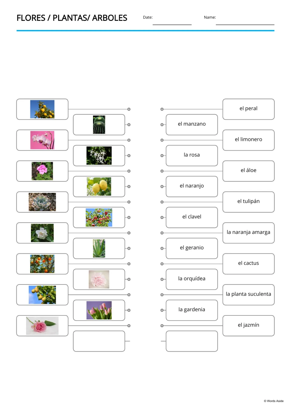 Spanish picture-to-word matching for 15 plant terms, including la rosa (rose) and el manzano (apple tree)