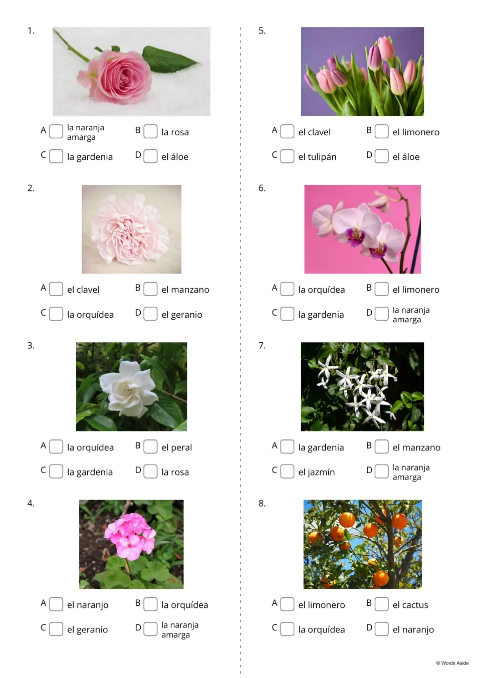Spanish plant photo quiz, items 1–8: choose names for rose, carnation, gardenia, geranium and four more