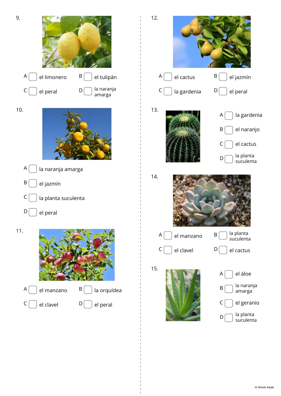 Spanish plant photo quiz, items 9–15: lemon, bitter orange, apple and pear trees, cactus, succulent and aloe
