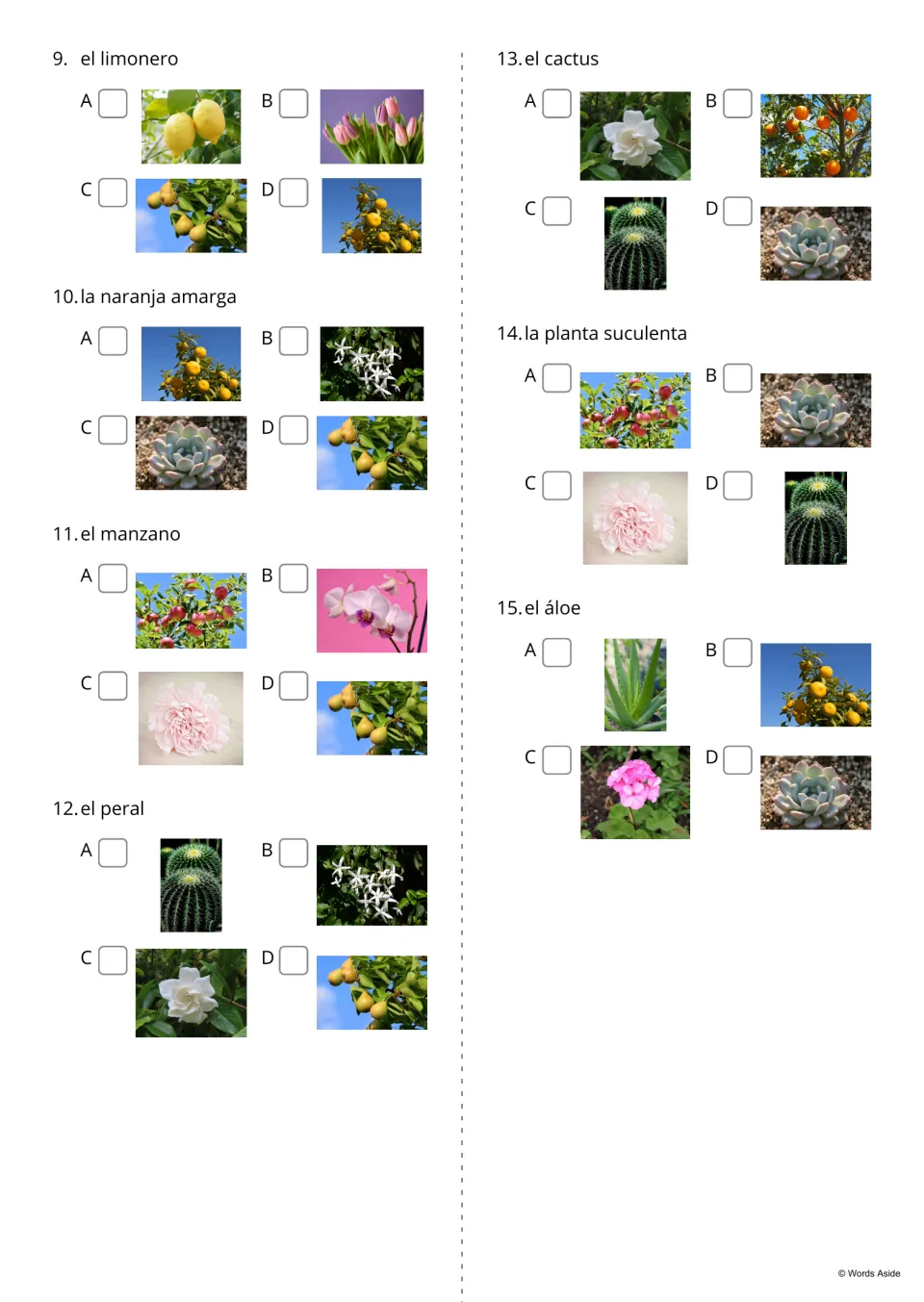 Spanish word-to-photo quiz, items 9–15: match el limonero (lemon tree), el cactus (cactus) and five more
