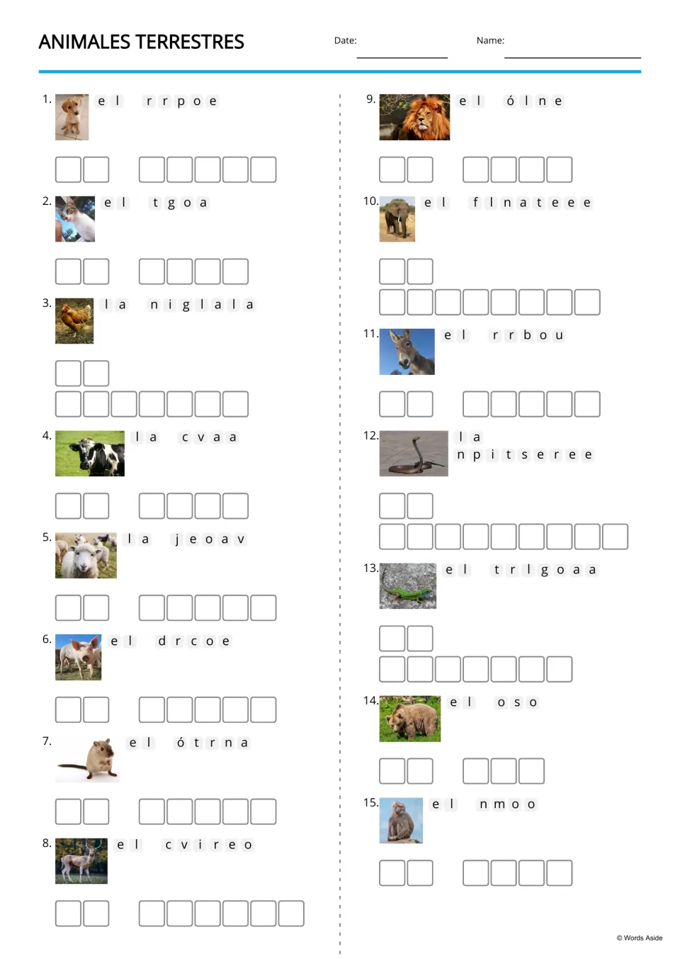 Spanish land animal anagrams: students unscramble 15 animal names, such as 'rrpoe' for el perro, beside each photo