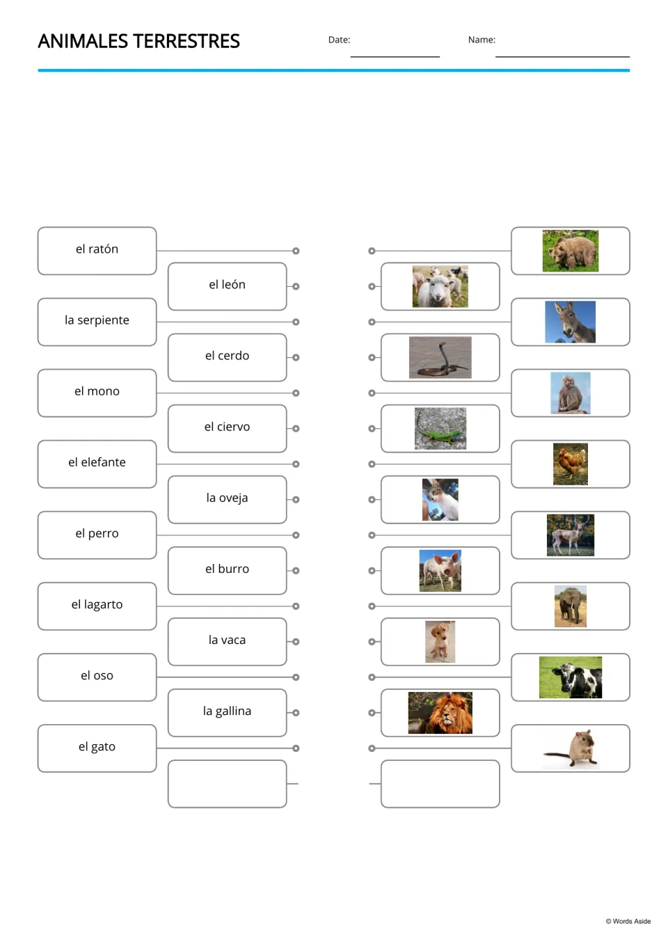 Animales terrestres matching: students link 15 Spanish animal words, from el ratón to el gato, to the matching photos