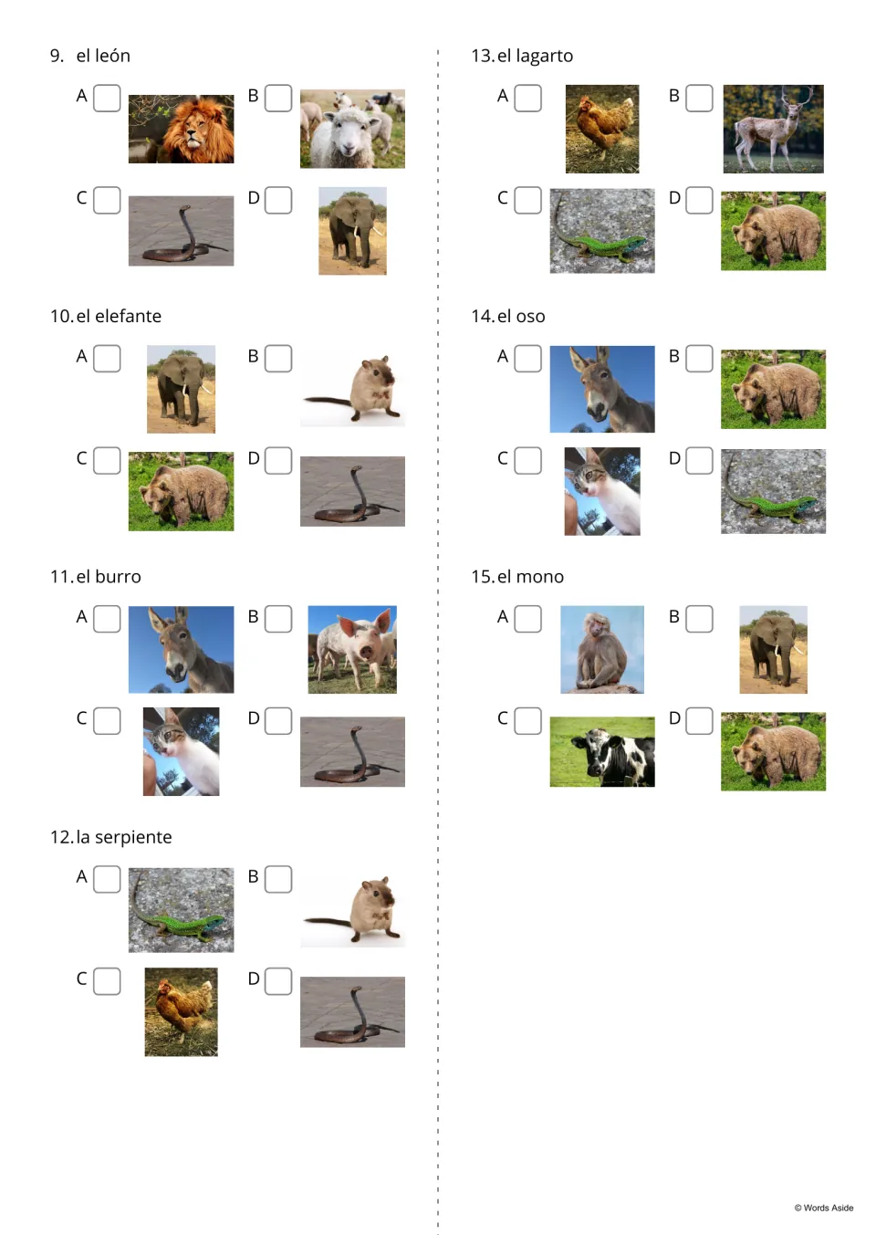 Spanish land animal quiz, items 9-15: students read words from el león to el mono and tick the correct photo, A to D