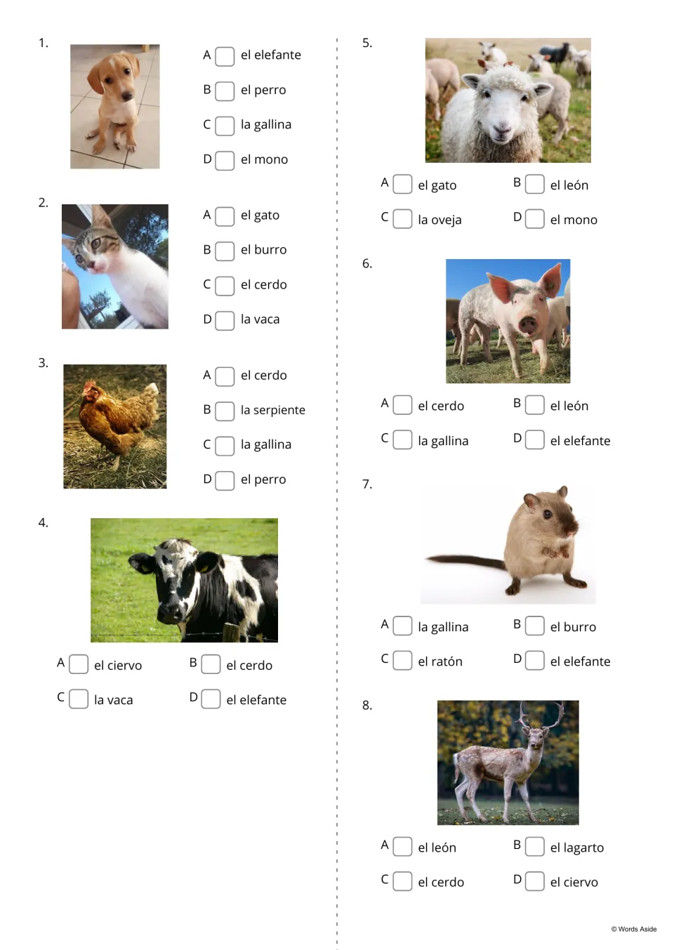 Animal naming quiz, items 1-8: students look at each photo, like a dog or pig, and tick its Spanish name from 4 options