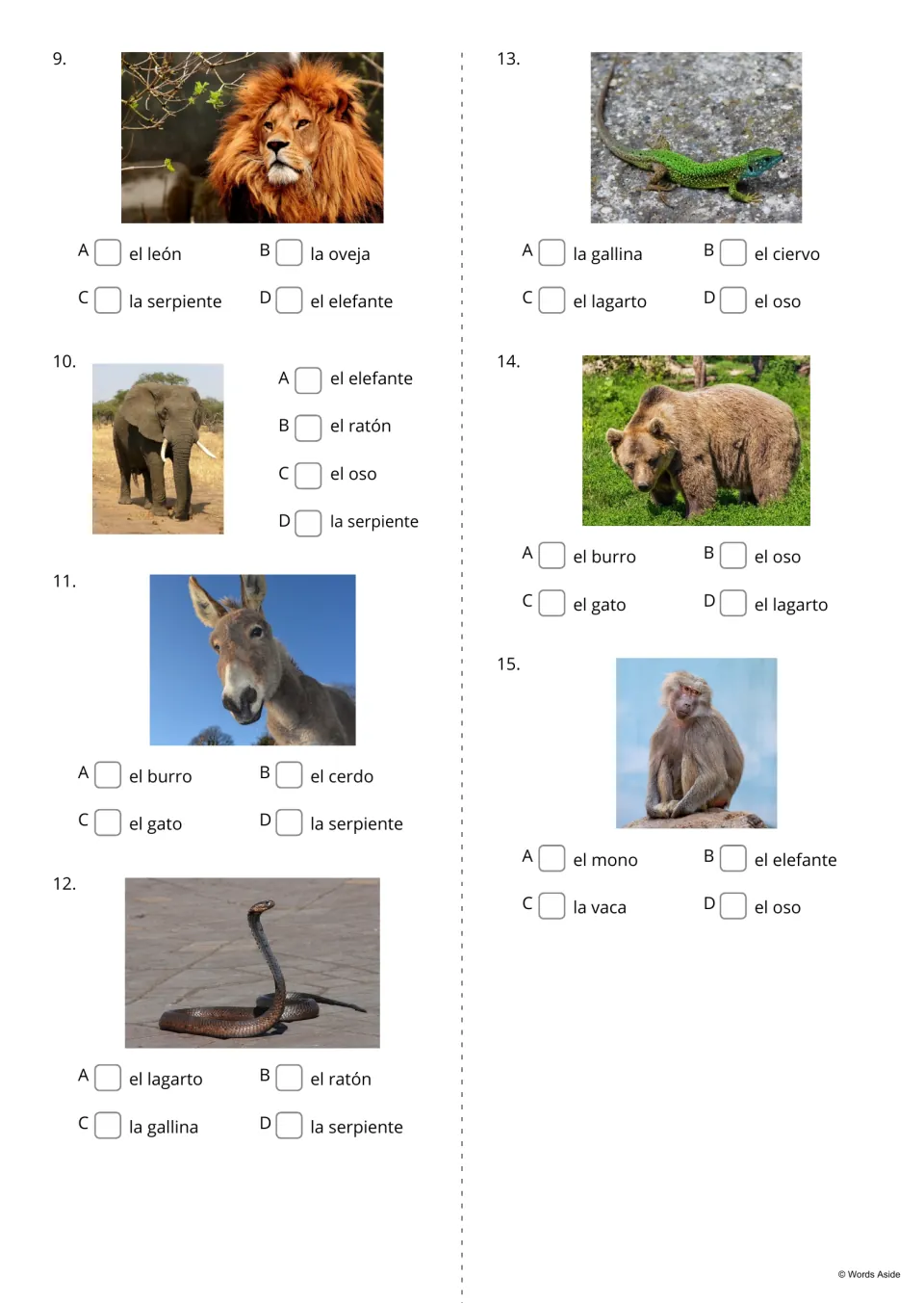 Animal naming quiz, items 9-15: students tick the Spanish word for photos of a lion, elephant, donkey, snake and more
