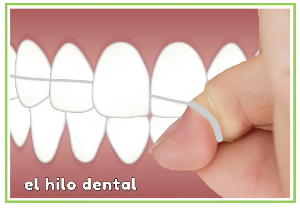 Spanish dental vocabulary flashcard labeled 'el hilo dental' (dental floss), showing floss across teeth