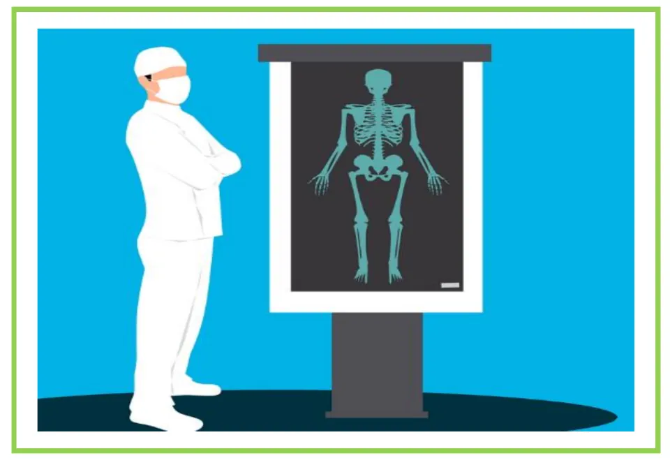 Picture-only Spanish vocabulary flashcard for orthopedist, showing a masked doctor beside a skeleton display
