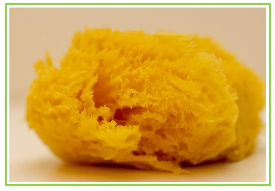 Picture-only Spanish hygiene vocabulary flashcard showing a yellow sponge for the set's sponge vocabulary pair