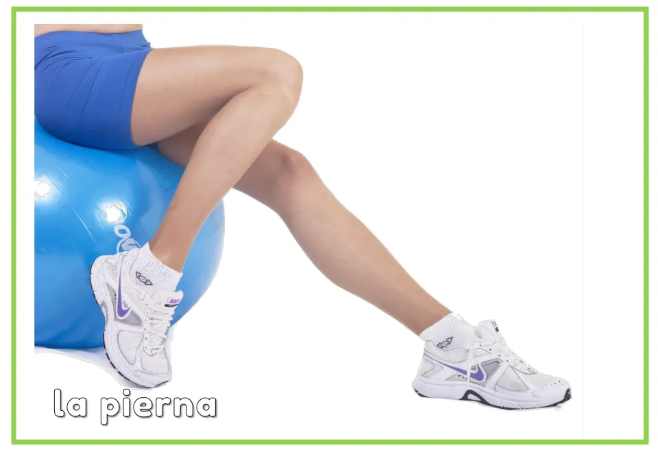 Spanish body parts card labeled "la pierna" with a photo of legs in white sneakers on a blue exercise ball