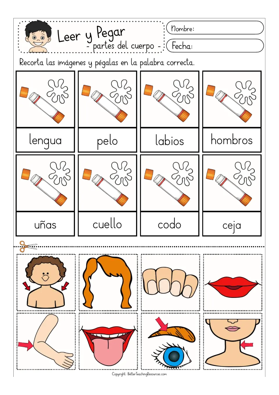 Color matching activity: lengua (tongue), pelo (hair), labios (lips) and five more body parts