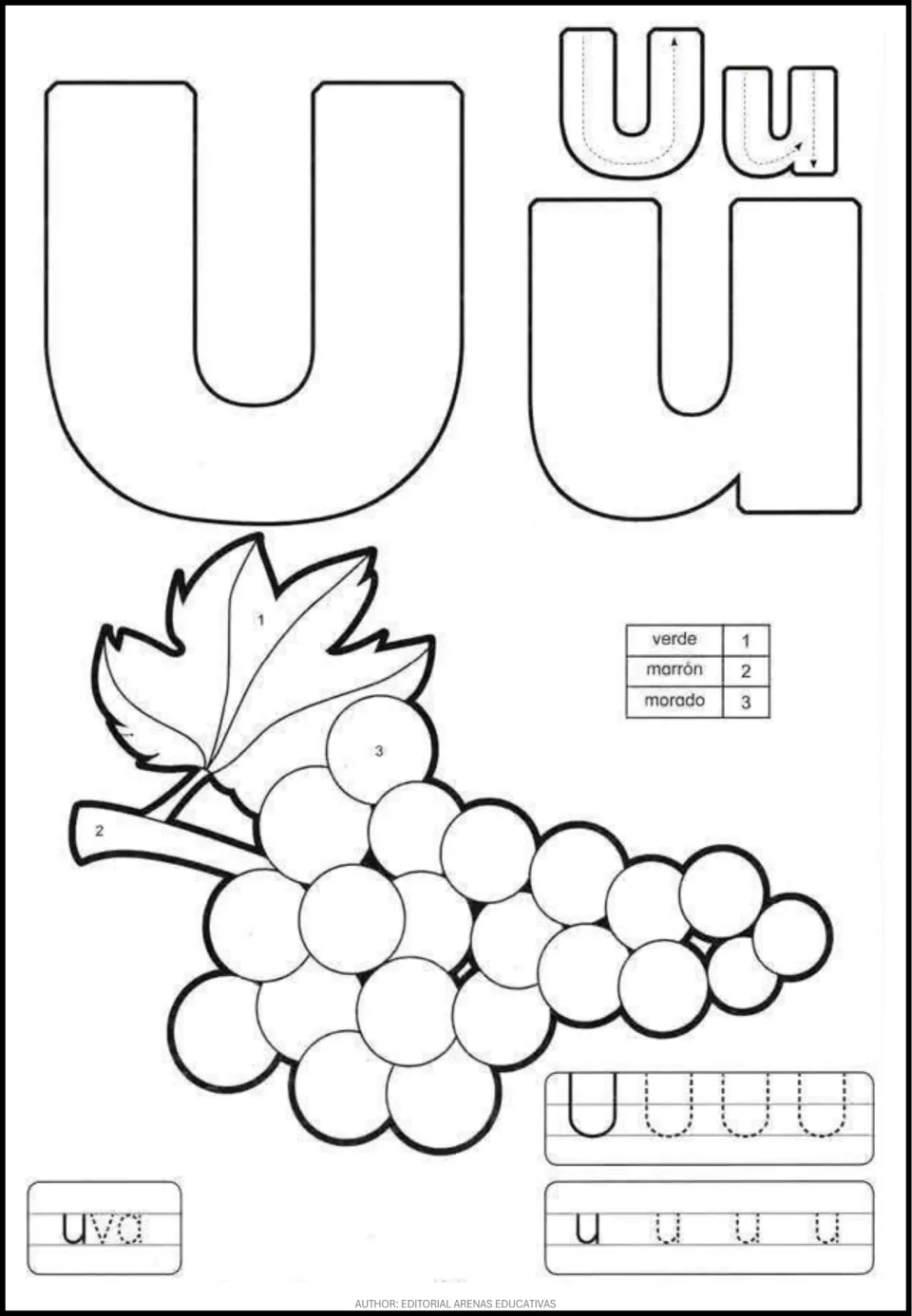 Spanish vowel U worksheet: uppercase and lowercase tracing, uva (grape), and grapes to color by number.