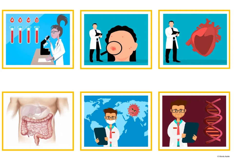 Medical vocabulary flashcards showing blood types, skin, a heart, digestive organs, infection, and DNA