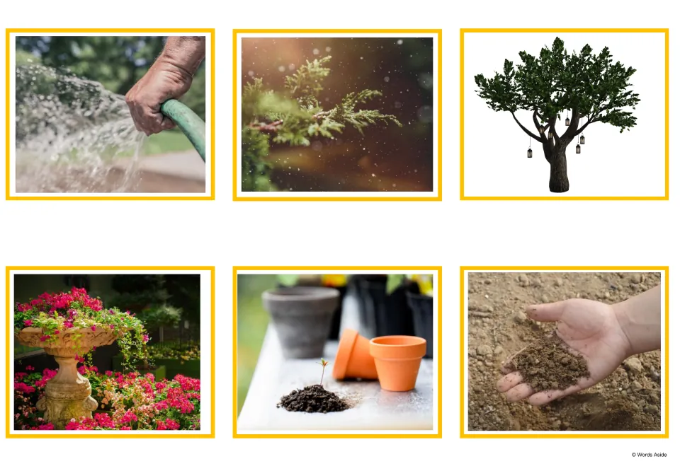 Garden photo cards: a hose spraying water, an evergreen plant, a tree, flowers, terracotta pots and a handful of soil