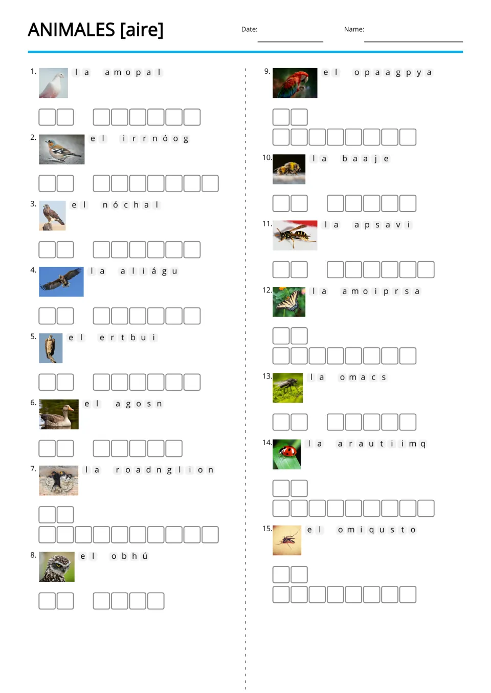 Animales [aire] (air animals) Spanish anagram worksheet: 15 picture clues for birds and flying insects