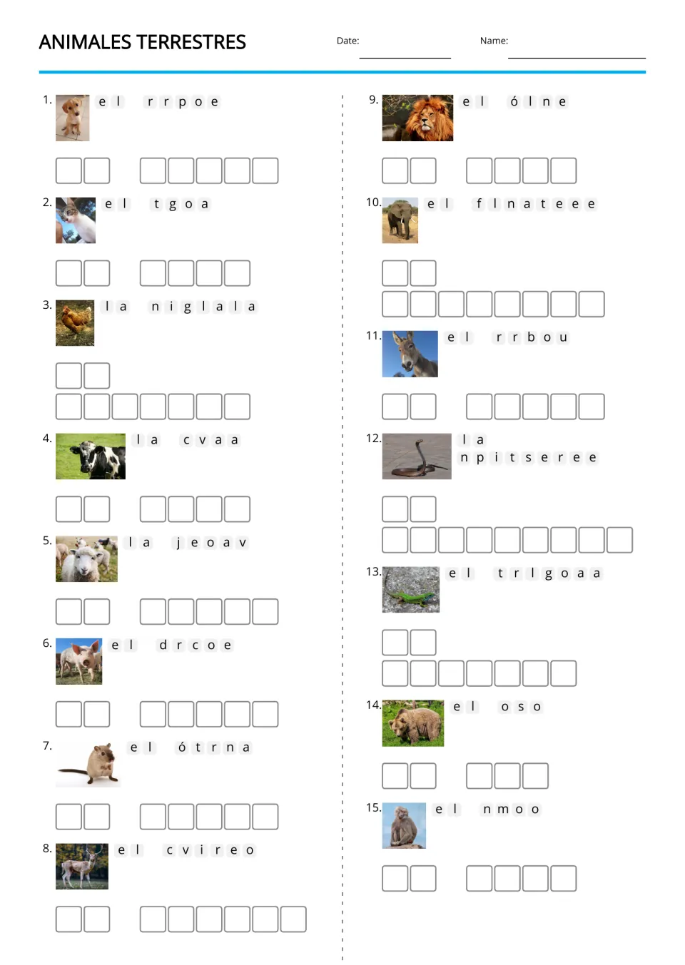 Animales terrestres (land animals) Spanish anagram worksheet: 15 picture clues for dog, cat, lion and more