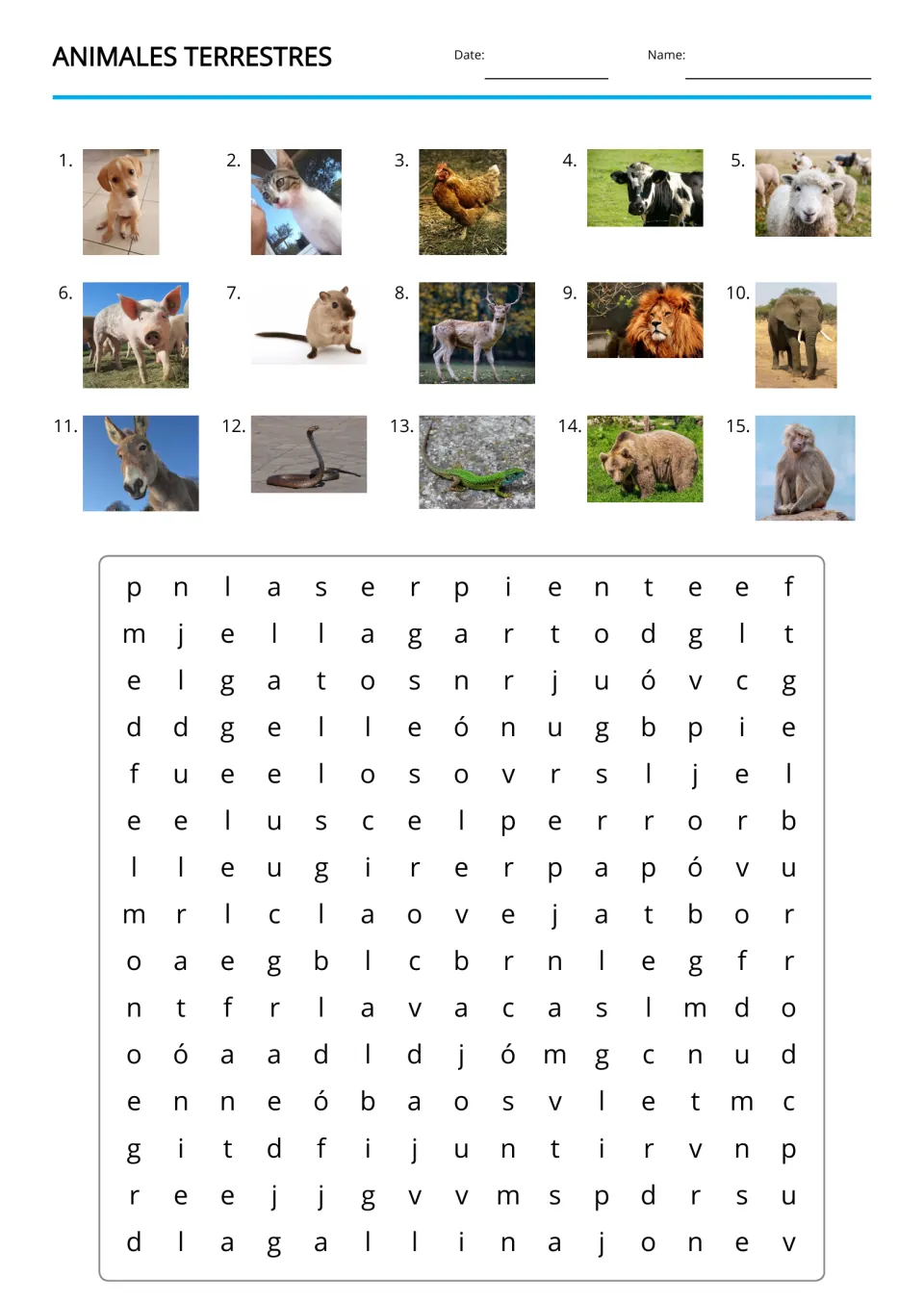 Animales terrestres (land animals) Spanish word search with 15 picture clues, including a dog, cat and hen