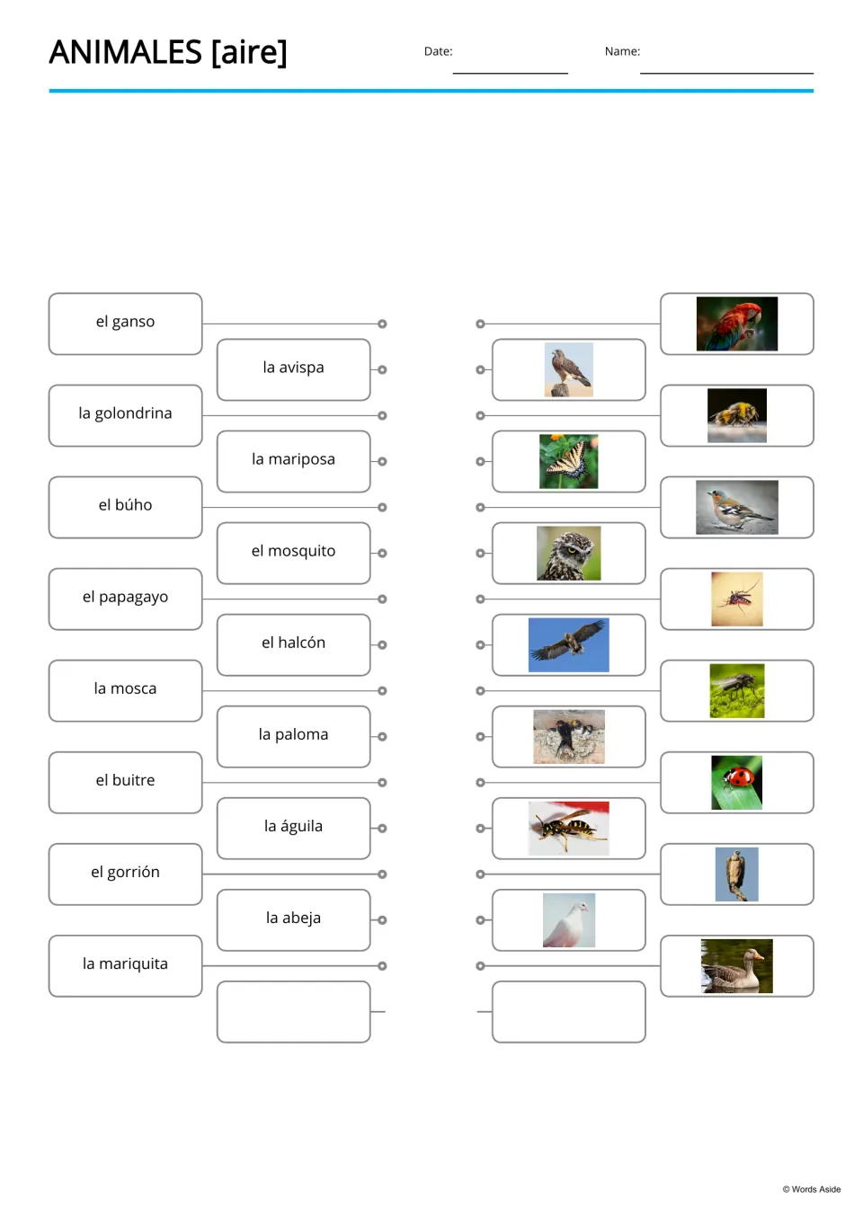Spanish word-to-picture matching for 15 animals, including avispa (wasp), mariposa (butterfly), and mosca (fly)