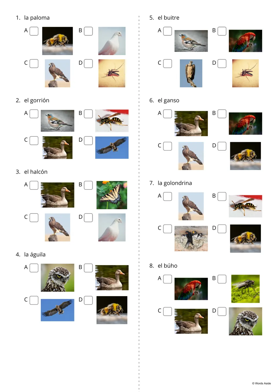 Spanish word-to-photo quiz items 1–8 include halcón (falcon), buitre (vulture), and golondrina (swallow)