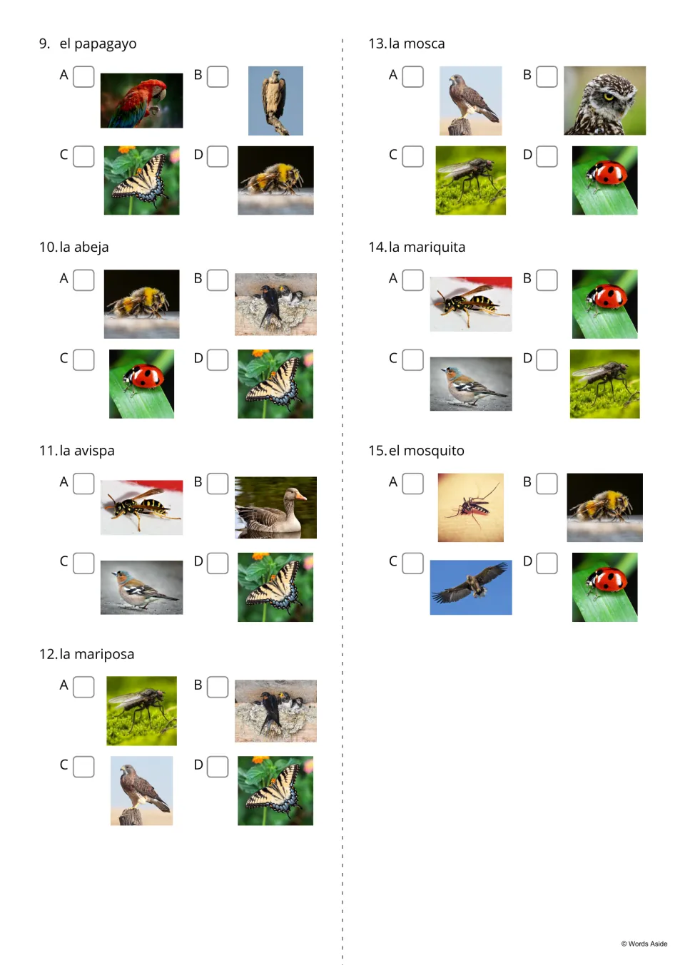 Spanish word-to-photo quiz items 9–15 include mariposa (butterfly), mosca (fly), and mariquita (ladybug)