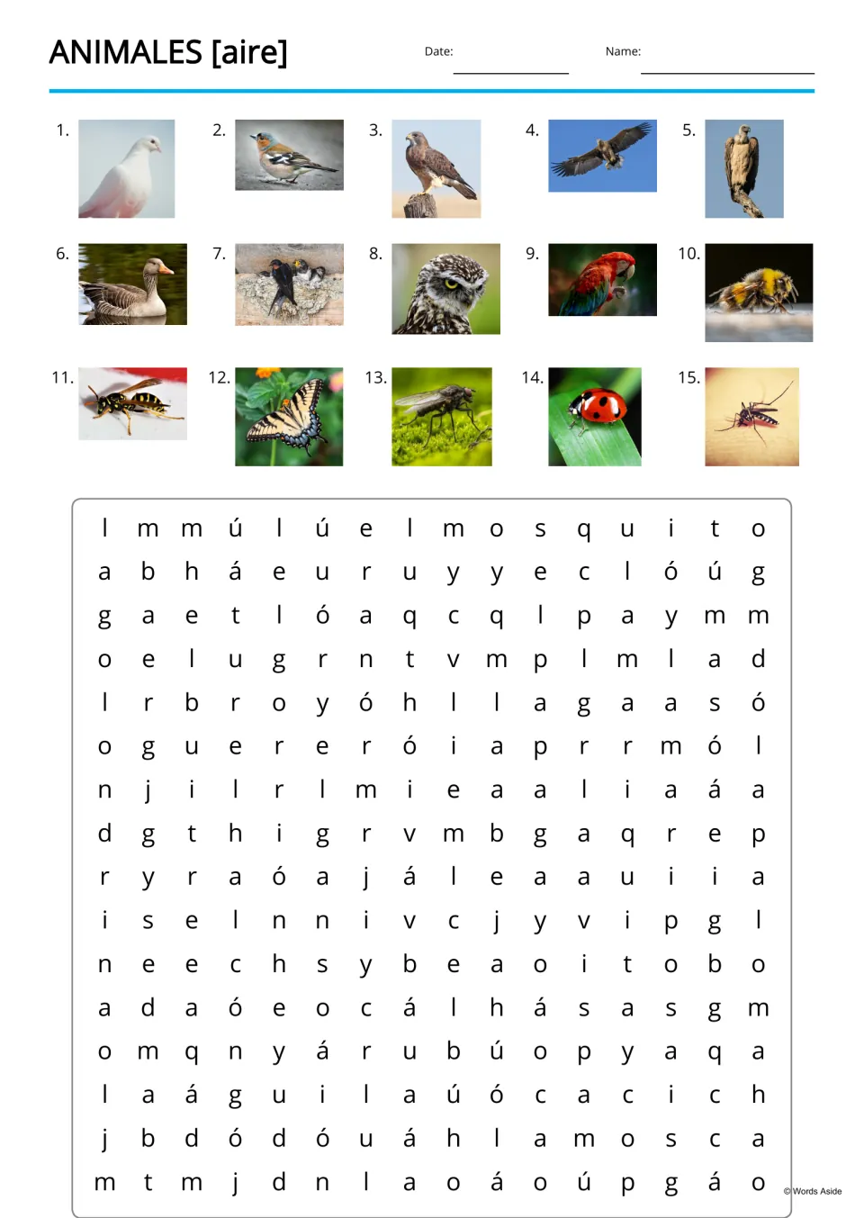 Spanish animal word search uses 15 numbered photo clues, including paloma (dove) and mariposa (butterfly)