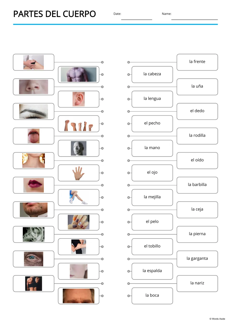 Partes del cuerpo matching: students draw lines from 20 body-part photos to Spanish words like la frente, la uña, el dedo