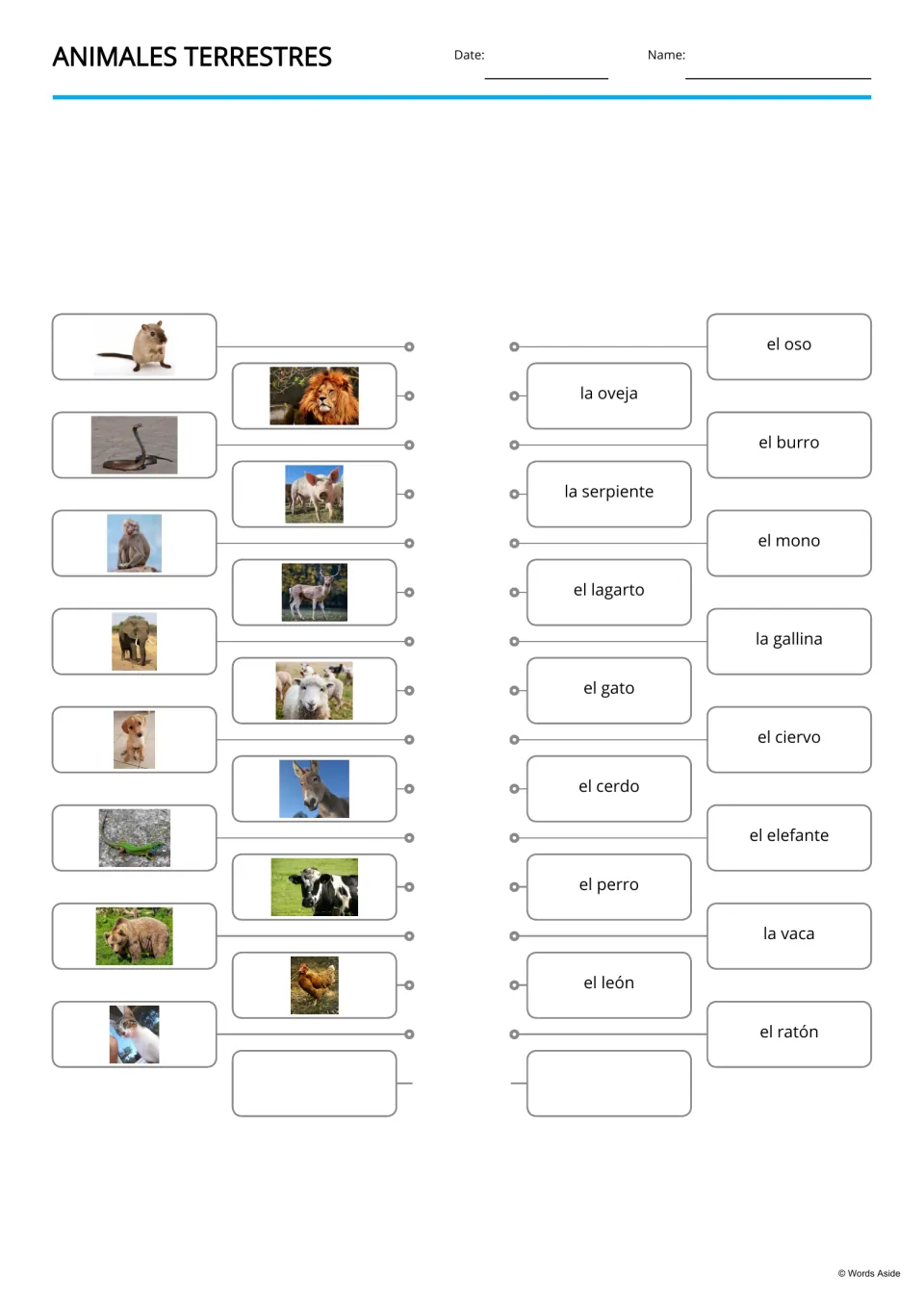 Spanish animal matching activity pairs 15 photos with names, including el oso (bear) and la oveja (sheep)