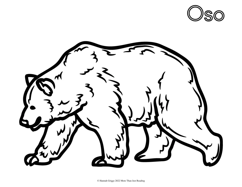 Spanish zoo animal coloring page labeled 'Oso' (bear), featuring a walking bear for students to color