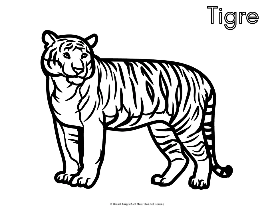 Spanish zoo animal coloring page labeled 'Tigre' (tiger), featuring a striped tiger for students to color