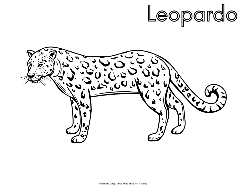Spanish zoo animal coloring page labeled 'Leopardo' (leopard), featuring a spotted leopard to color