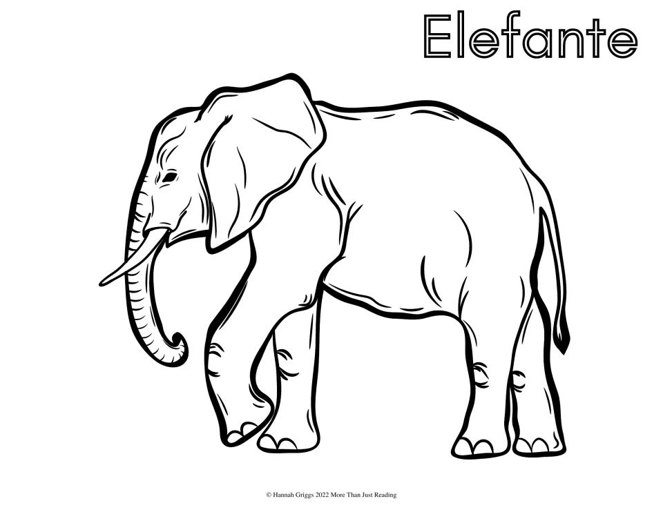 Spanish zoo animal coloring page labeled 'Elefante' (elephant), featuring an elephant with tusks to color