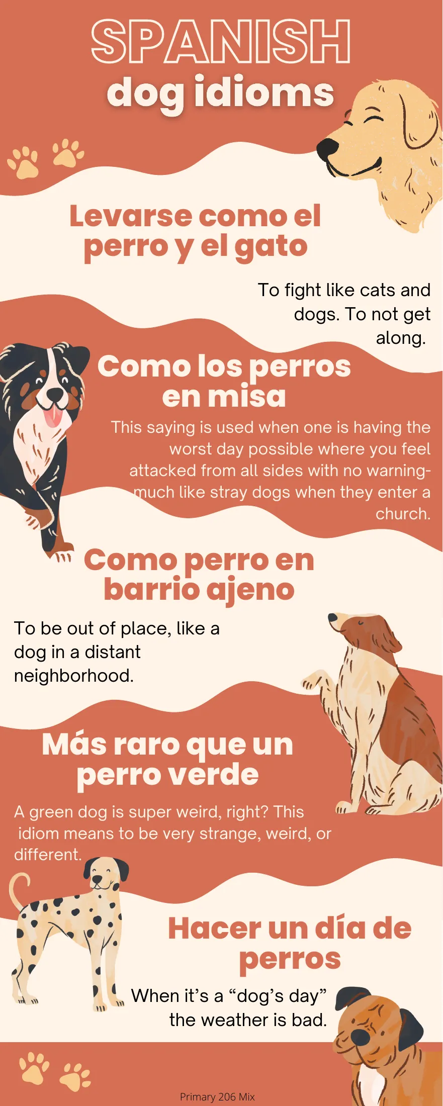 Dog idiom handout: five Spanish expressions with English meanings, including Más raro que un perro verde.