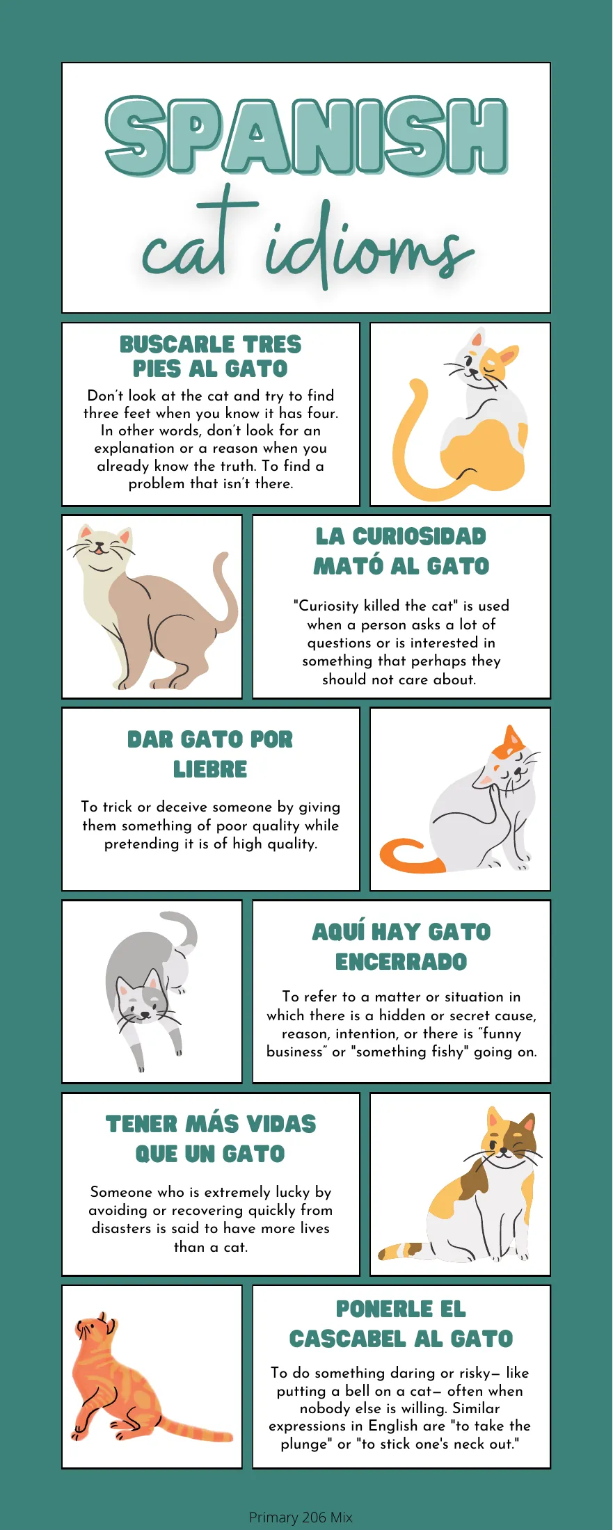 Cat idiom handout: six Spanish expressions with English meanings, including Dar gato por liebre (deceive).