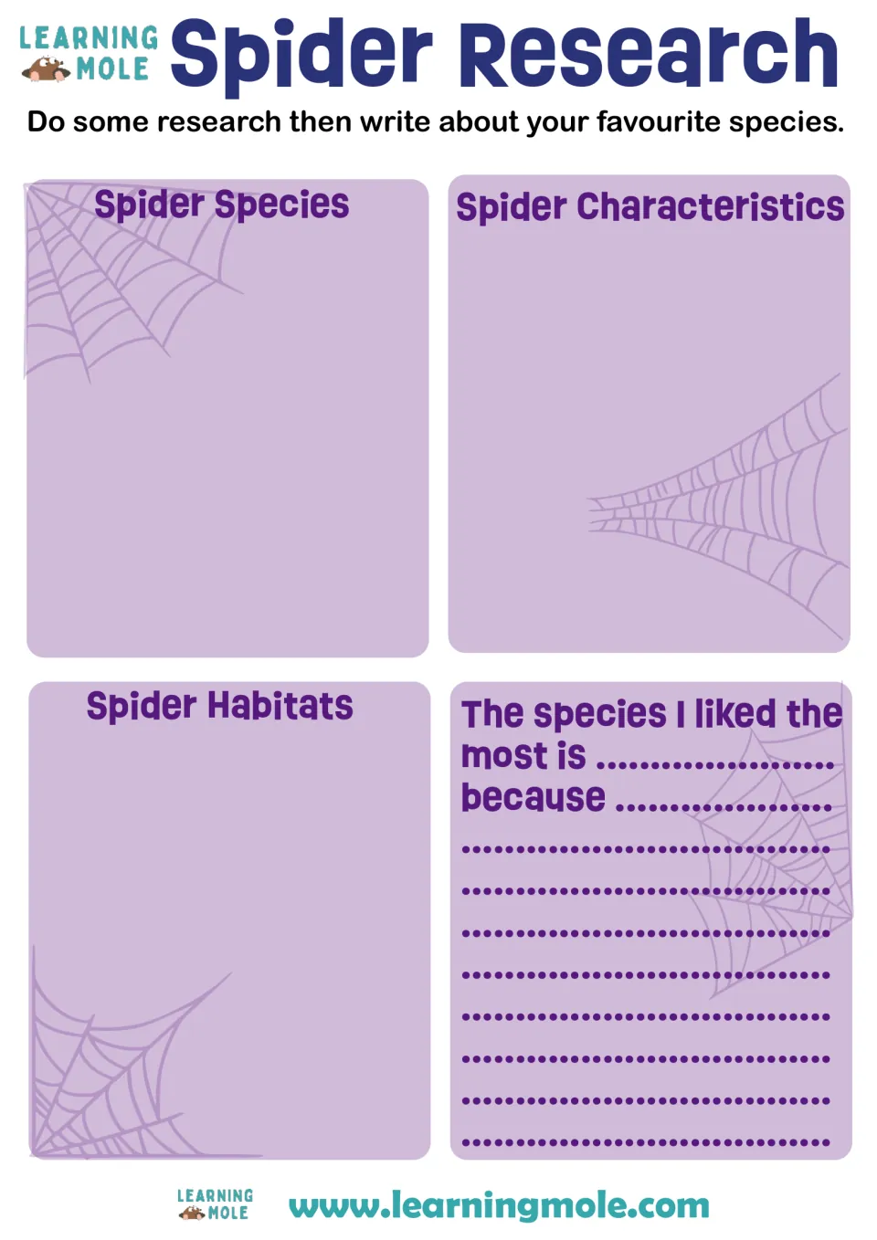 Spider Research: students note spider species, characteristics and habitats, then explain their favourite species