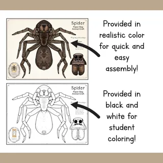 Spider | Paper Bag Puppet | Printable Craft – sample page 2