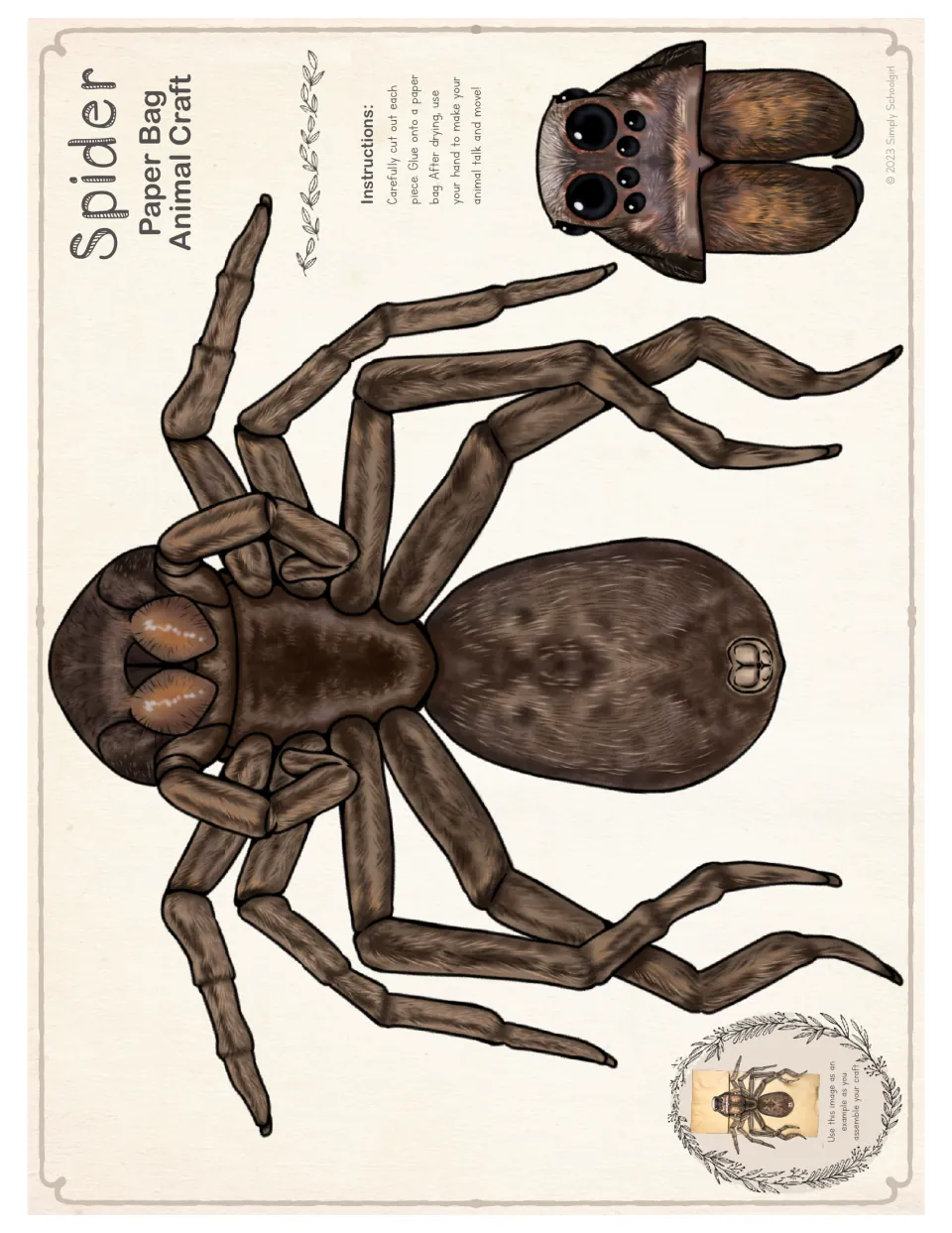 Full-color spider cut-out pieces: a realistic brown body with eight legs and a separate head to cut, glue and assemble
