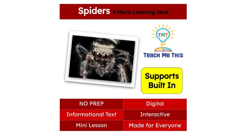 Cover of the spider micro-learning deck, identifying a digital, interactive mini lesson with informational text