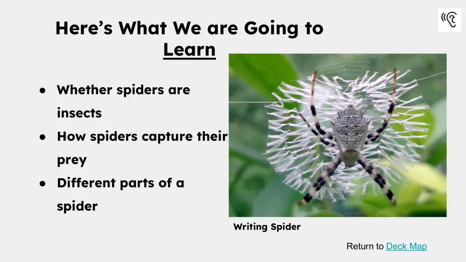 Learning-goals slide lists whether spiders are insects, how they capture prey, and the different parts of a spider