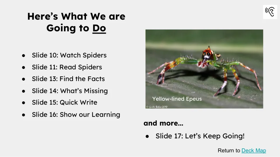 Lesson agenda lists watching and reading about spiders, Find the Facts, What's Missing, Quick Write, and more