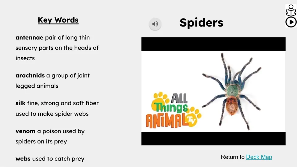 Key Words slide defines antennae, arachnids, silk, venom, and webs beside a spider video preview and audio icon