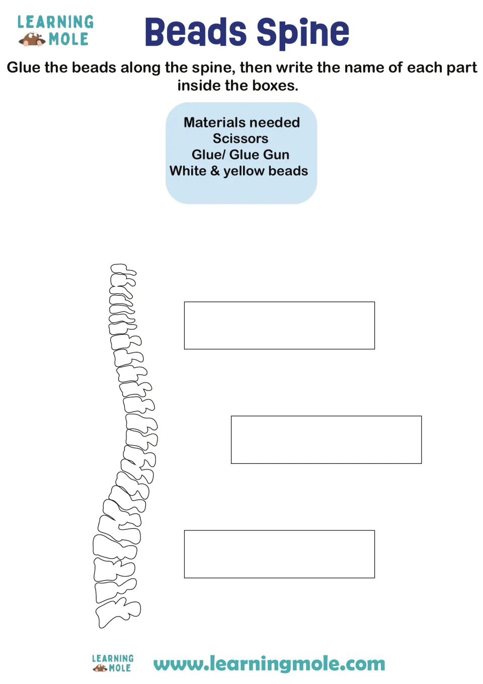 Beads Spine craft: students glue white and yellow beads along a spine outline, then label three of its parts
