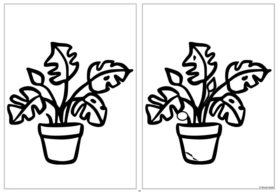 Spot four differences activity comparing two potted plants with changes to leaves, a stem area, and the pot