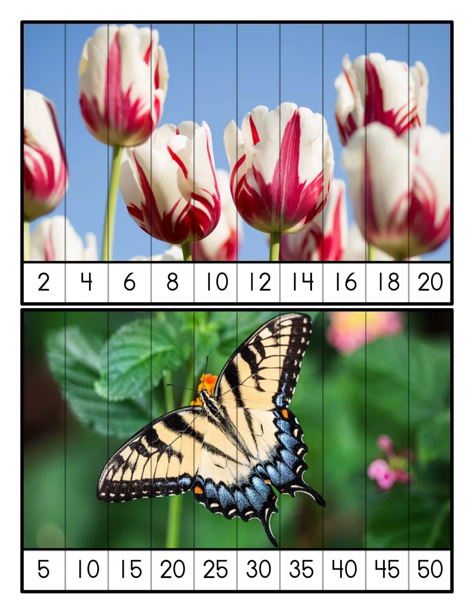 Skip counting by 2s and 5s: students order strips 2-20 and 5-50 to rebuild a tulip photo and a swallowtail butterfly