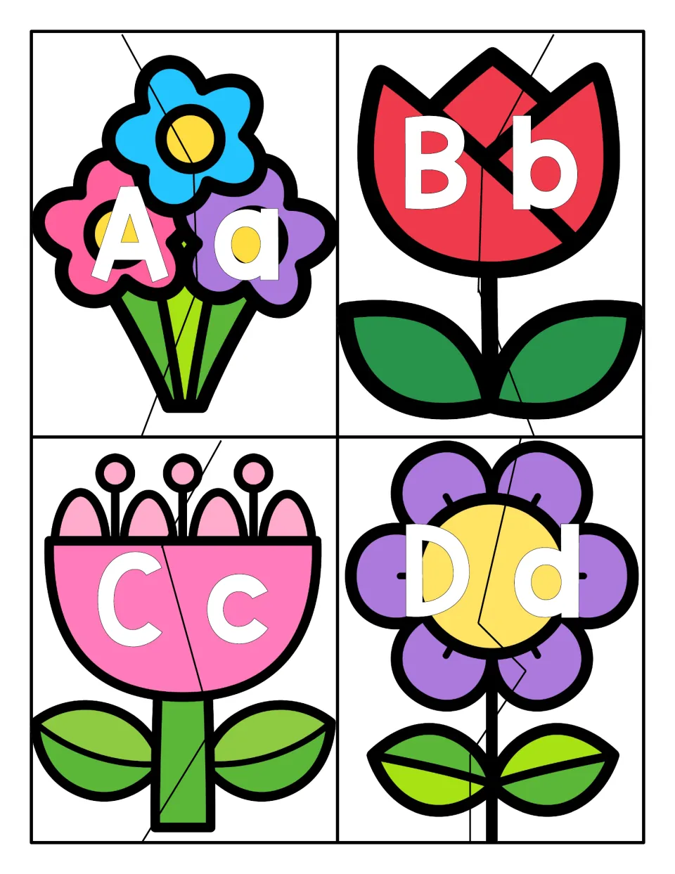 Letters Aa to Dd: flower bouquet, tulip, pink bloom and daisy cards cut in two to match each uppercase and lowercase letter