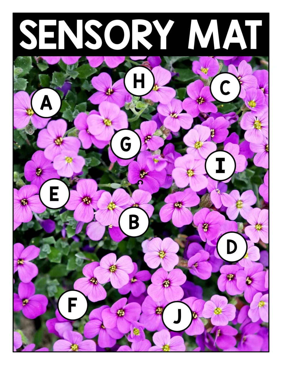 Letter recognition mat: pink spring flowers photo with uppercase A to J in circles for students to find and match