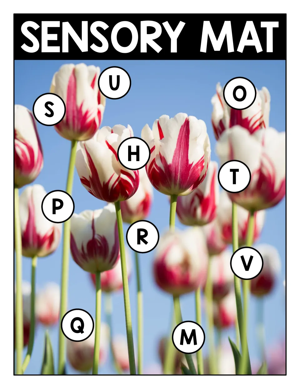 Uppercase letter match on a red and white tulips photo: students find U, O, S, H, T, P, R, V, Q and M in circles